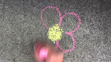 Painting a Flower - Time Lapse