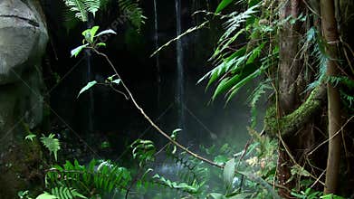 Tropical Waterfall