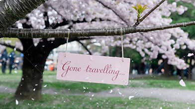 A whimsical sign hangs from a cherry blossom tree, inviting thoughts of travel and adventure.