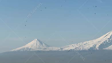 Black crows fly against the background of Mount Ararat and the blue sky, the mountain with a snow cap and a melted