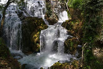 Serene waterfall cascading over mossy rocks in a lush forest setting during bright daylight