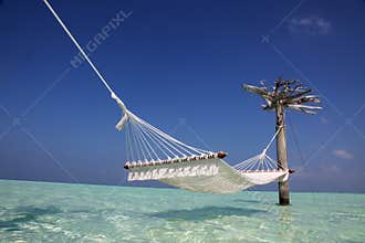 Hammock