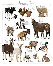 Farm animals educational chart showing adults and babies