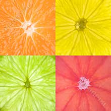 Citrus Fruits