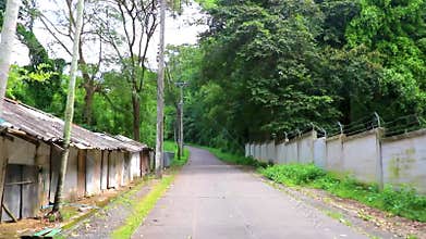 Simple road street in tropical jungle in Chiang Mai Thailand