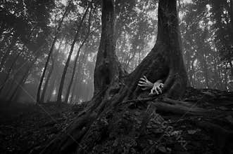 Horror forest scene with hands on halloween