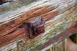 Under the pier, drift wood, wooden textures and rusty nails