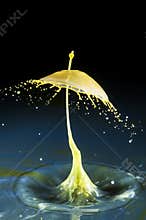 Milk-drop collision;