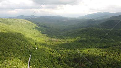 Aerial wide drone shot over a lush forest in the mountains