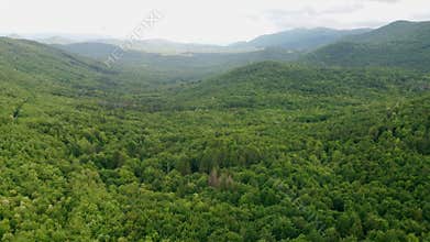 Aerial wide shot over a lush forest in the mountains