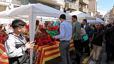 Barcelona, Spain-June 24, 2025. Customers buying roses at a stall decorated with the catalan flag during saint george\'s day