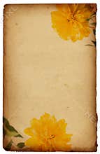 Vintage floral background