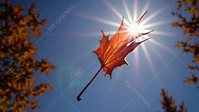 Orange maple leaf drifting from a tree, sunlight filtering through its vibrant colors on a beautiful autumn day, surrounded by a
