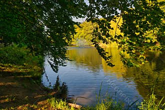 Calm waters reflecting vibrant greenery near a serene lakeside setting in afternoon sunlight