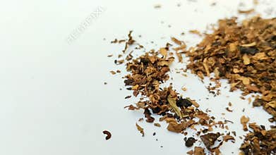 A pile of dried tobacco on a white background