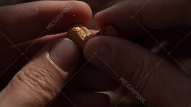 Close-up of hands holding single raw cashew nut