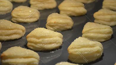 Ð¡ookies baking timelapse