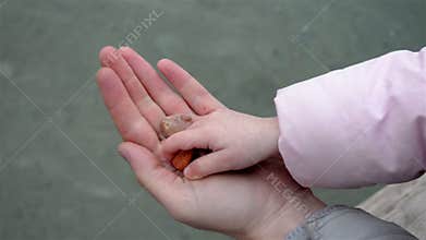 Girl throw stones into the sea