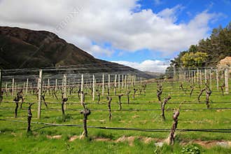 Gibbston Valley Winery
