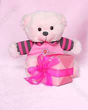 Teddy Bear with gift - Valentines Day Stock Photos