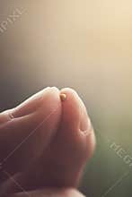 Mustard seed and fingertips.