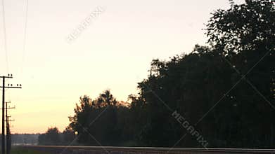 Freight train passing by in the countryside.