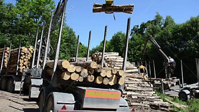 Cut logs equipment