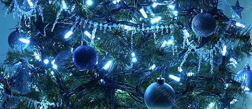 Christmas Tree