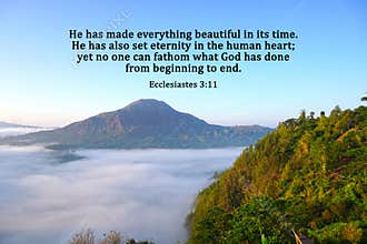 Bible verse quote - He has made everything beautiful in its time he has also set eternity in the human heart