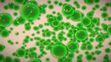 Pathogen with White Blood Cell on Blodd Stream