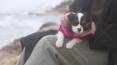 A woman holds a small puppy with large ears in her arms, a blurred sea in the background.