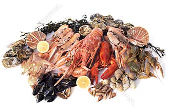 Seafood
