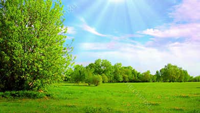 Vast Green Fields & Meadows – Industrial & Environmental Harmony in 4K