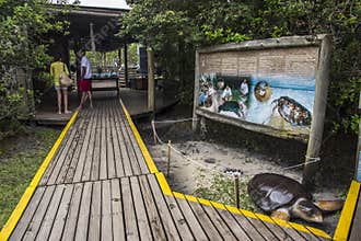 Tamar Project - Florianópolis/SC - Brazil