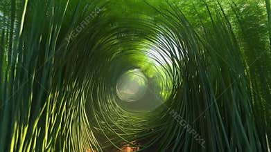 Green Bamboo Forest Time-Space Tunnel