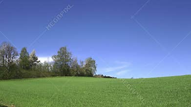 Film footage landscape in the Bavarian forest with forest and trees and meadows and fields , Germany