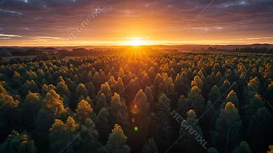 Golden Sunset Illuminating Lush Green Forest Canopy In Tranquil Landscape