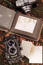 Old photo album