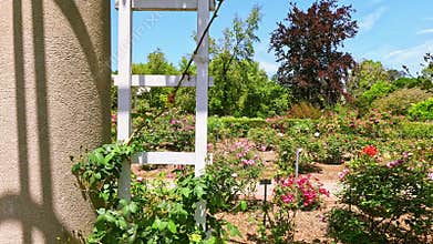 footage of a gorgeous landscape with lush green trees, grass and colorful flowers at Huntington Library and Botanical Gardens in