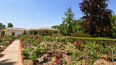 footage of a gorgeous landscape with lush green trees, grass and colorful flowers at Huntington Library and Botanical Gardens in
