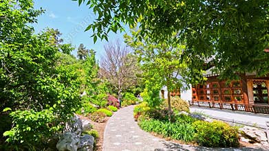 footage on a long winding footpath with lush green trees and colorful flowers at Huntington Library and Botanical Gardens