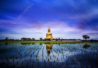 A biggest Buddha in Thailand