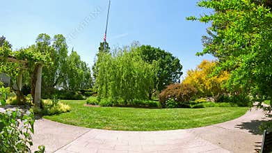 footage on a footpath in a garden with lush green trees and flowers at Huntington Library and Botanical Gardens in San Marino