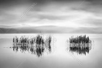 Reeds at Lake Karla