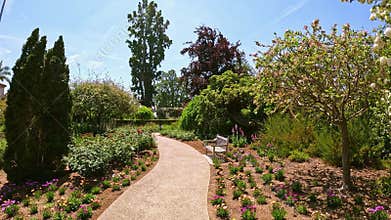 footage of a gorgeous landscape with lush green trees, grass and colorful flowers at Huntington Library and Botanical Gardens