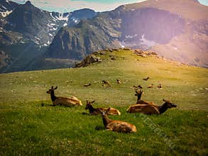 Northern Colorado Estes Park Colorado Rocky Mountain National Park