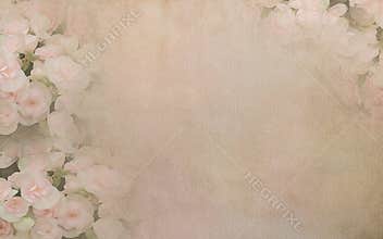 Begonia flower on vintage paper background