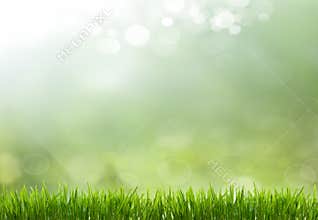 Spring or summer season abstract nature background