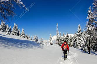 Man hiking in Carpathian mountains
