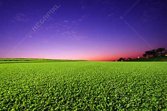 Perfect Golf Field